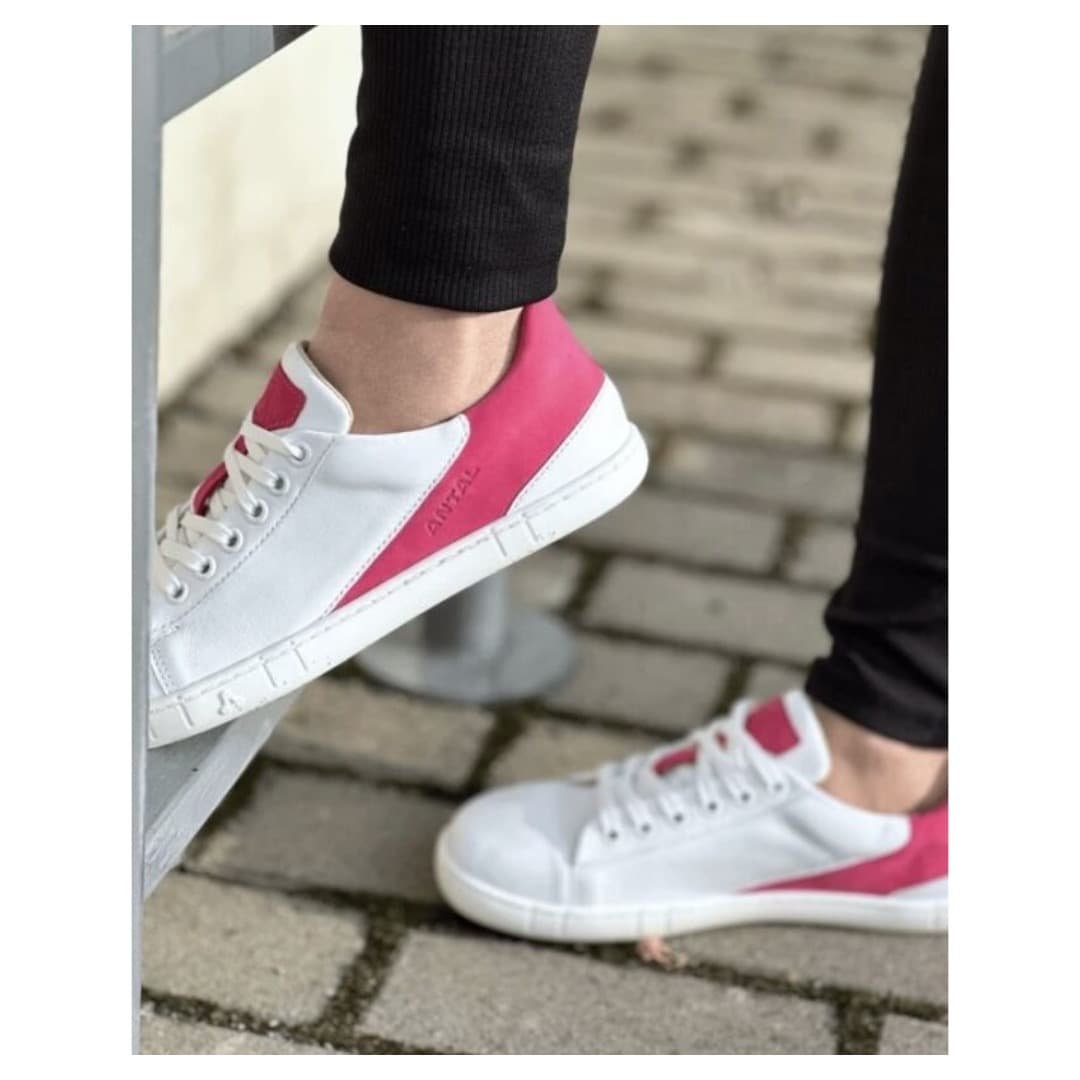 Antal Magnifique Fuchsia